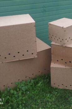 Cajas de envío / Transporte